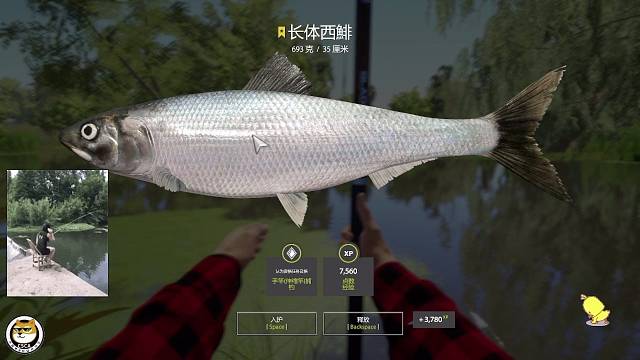 ㊗️：这不来了嘛