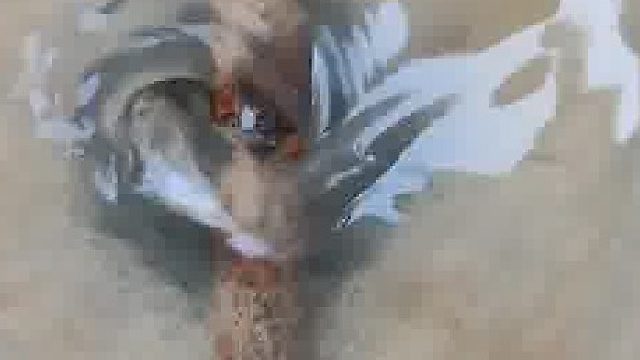 用你已知的知识解释一下这个现象