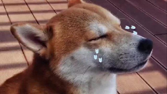 别人有的你也必须有！！！