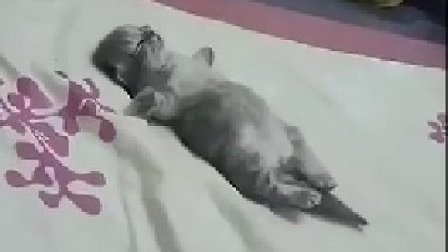 小朋友睡觉是不是做梦了？