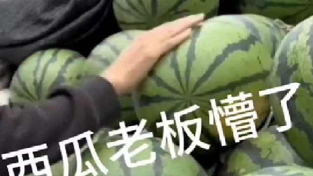 这西瓜挑的真准啊