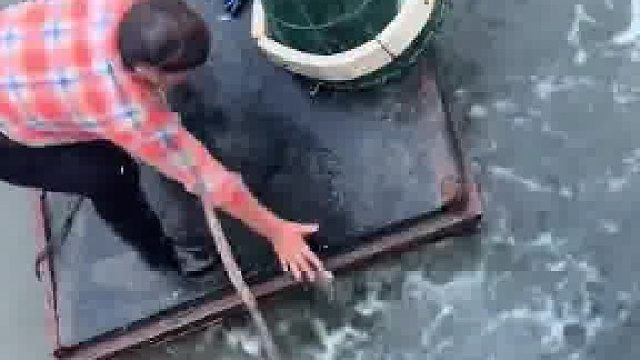 姜太公打鱼  愿者上船