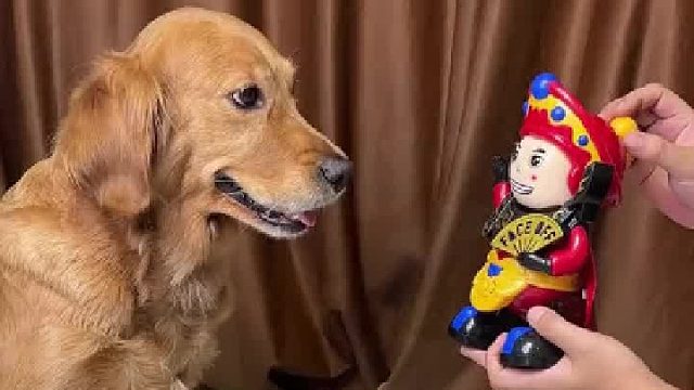 很喜欢一副很惊讶的样子。