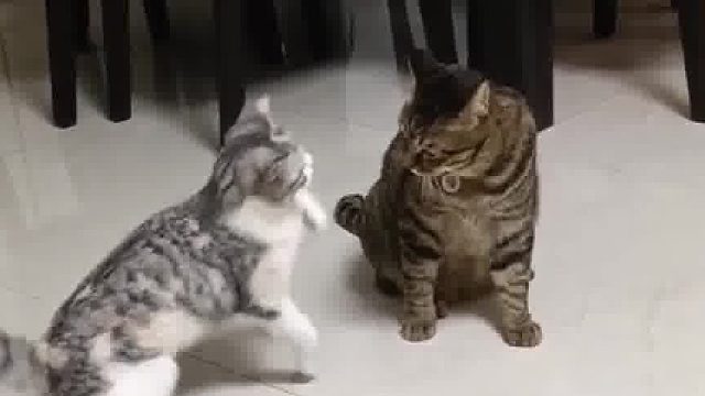 并不是不解风情，而是有心无力