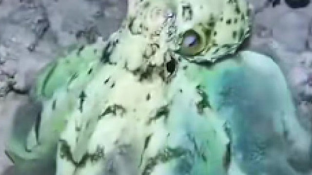 大自然真是太神奇了