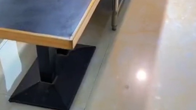 哪来的净坛使者？