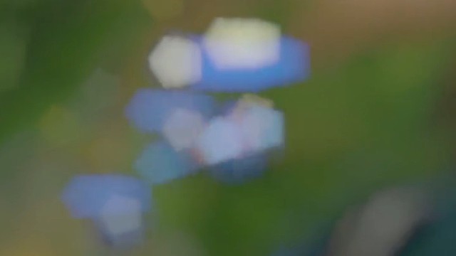 让我碰一下！！就一下！！