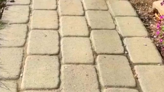 你看见的就一定是真实的吗？到底有多少个滑板？