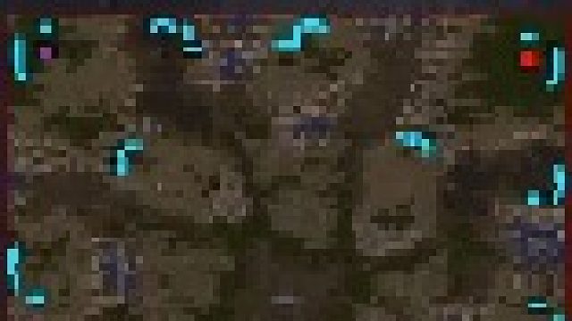 水螅ZvT王本1小时