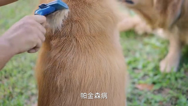 1以上症状#愿天下更健康更长寿