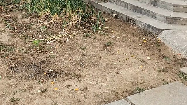 她也太热情了吧