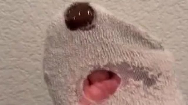 废物再利用，外国妹子用破洞袜子改造墙壁 创造出令人惊艳的装饰效果