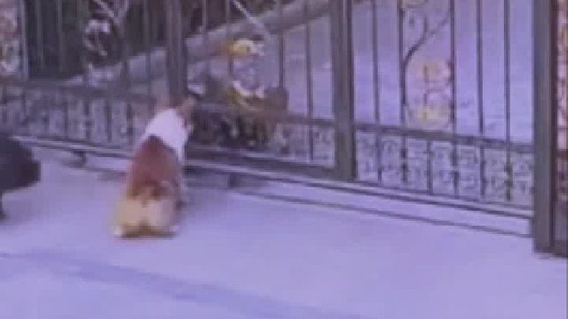 小黑你到底站那边的