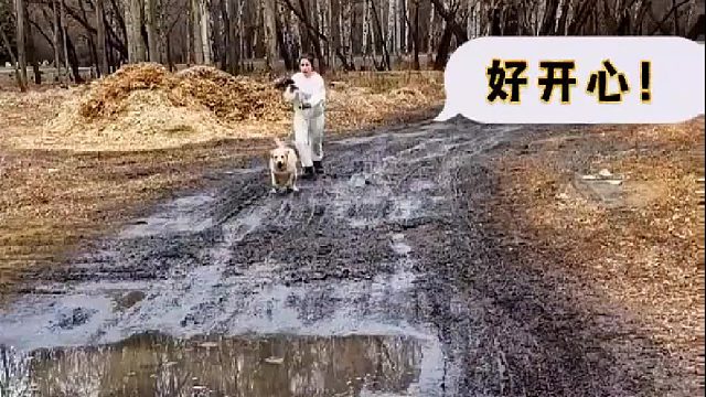 谁有红烧狗肉配方，麻烦艾特一个