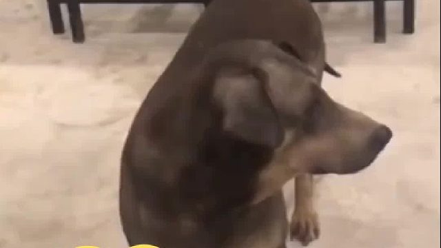 这就是所谓的一激灵