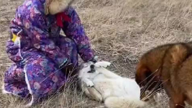 专业人士请勿模仿！