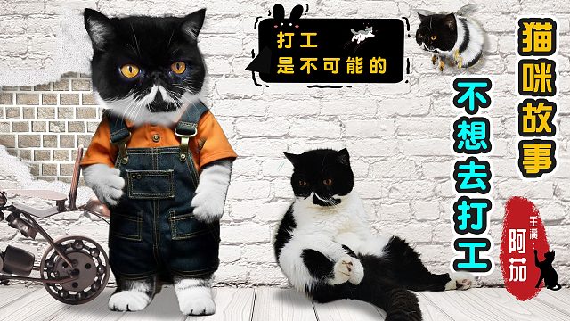 猫咪不愿意打工，最后因犯事被捉捕