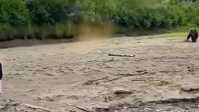 喷的啥玩意？熊还怕这个？