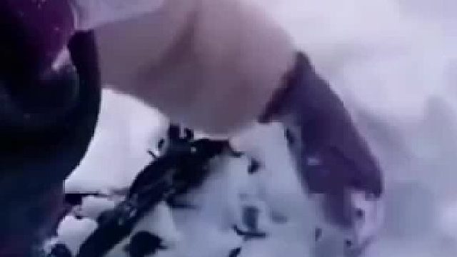 国外情侣救助了一只乌鸦，竟然用特殊方式来感恩