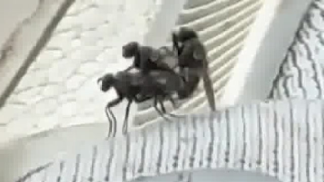 这是什么情况 没看懂