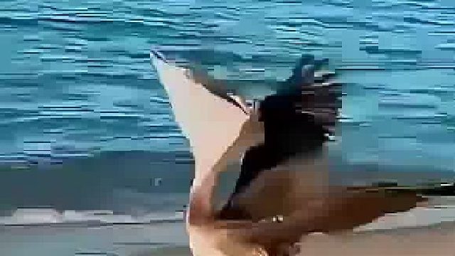 这鸟有点饥不择食了