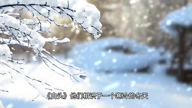 爱情故事系列小说