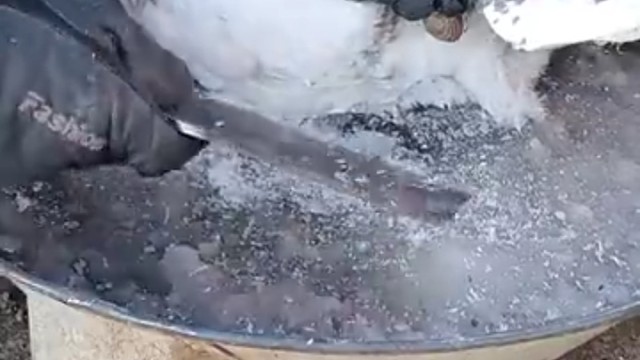 大鹅:吓死鹅了，大刀那个劈啊，小心脏扑通扑通的[允悲]