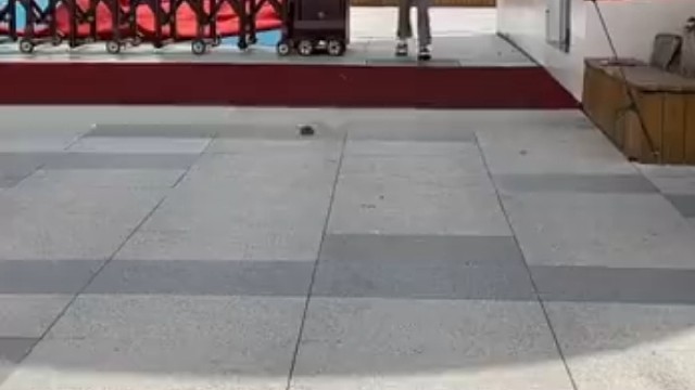 东北对老婆的妹妹叫“小姨子”，母亲的妹妹才是小姨