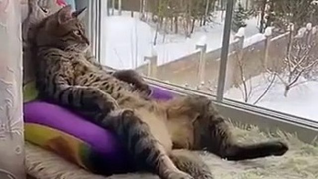 “ohh，冬天的早晨”