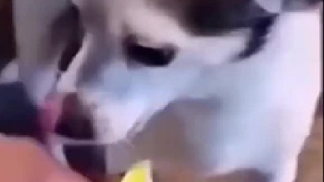 从满眼期待到愤怒至极！