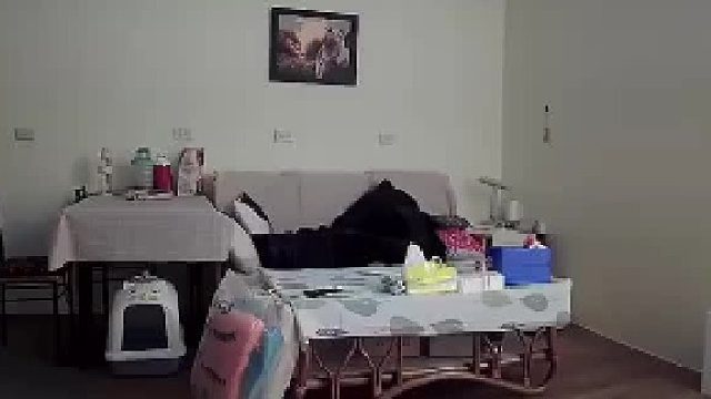 监控找不到猫，没想到猫咪早已等在监控旁，脚脚还一直跺，看来也有点急了