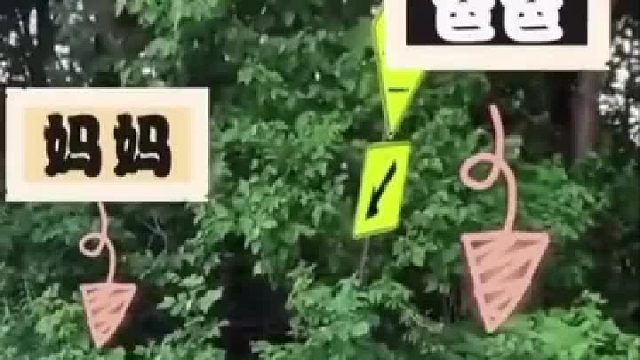 没最后一脚，画面多温馨