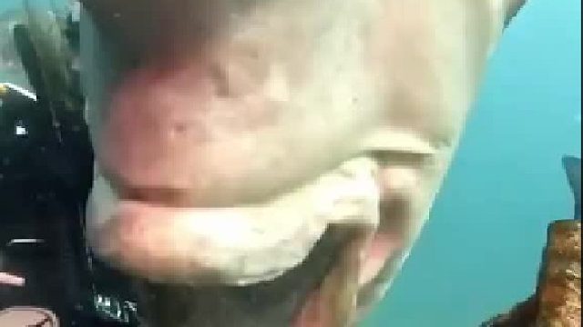 专业操作，请勿模仿。