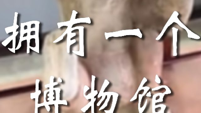 "区区”博物馆罢了，切~