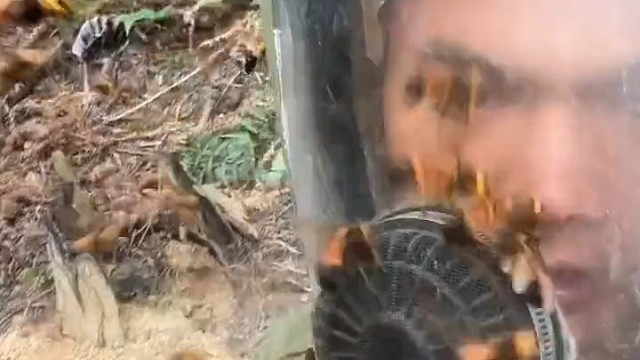 拿远点，我手机都肿了