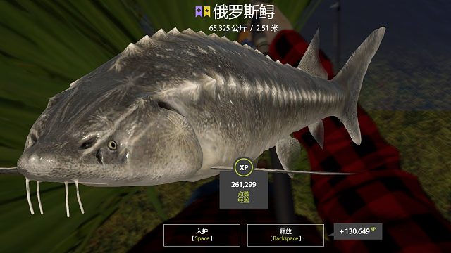 强锁 蹲鳇偶遇65k毛鲟