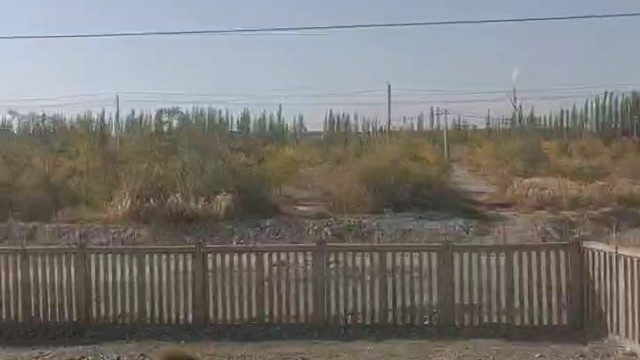 我发布了一个新视频，快来围观吧！