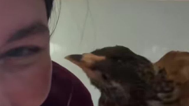 发生什么事是比中彩票概率还要低的，走路被鸟撞到