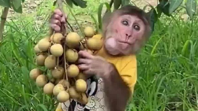 把牙齿都快咬疼了吧