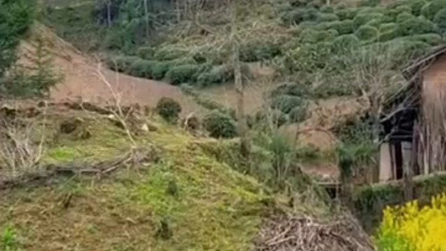 我小时候就是这样、饭煮好了再喊我爸爸回家吃饭、有时候喊一声爸爸、好几个人一起答