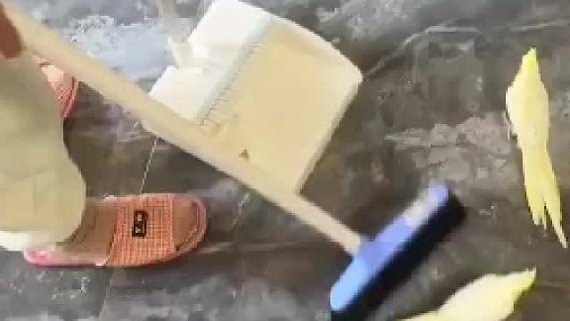 扫地鸡就是用扫把扫地上的小鸡