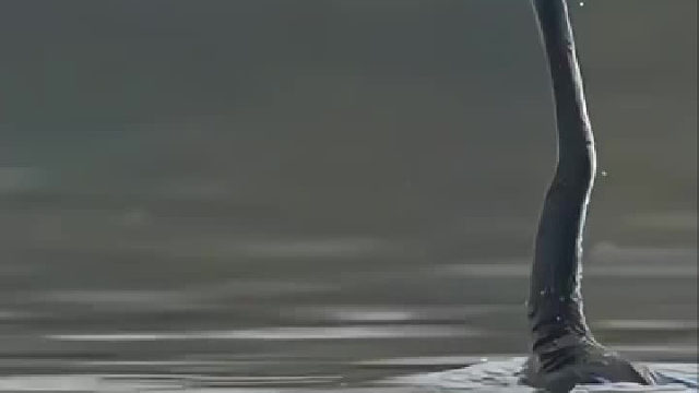 小鱼被完全拿捏，血脉压制