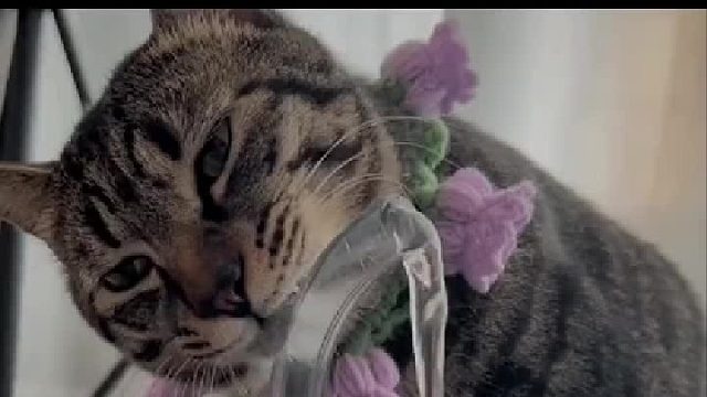 这水也不解渴呀