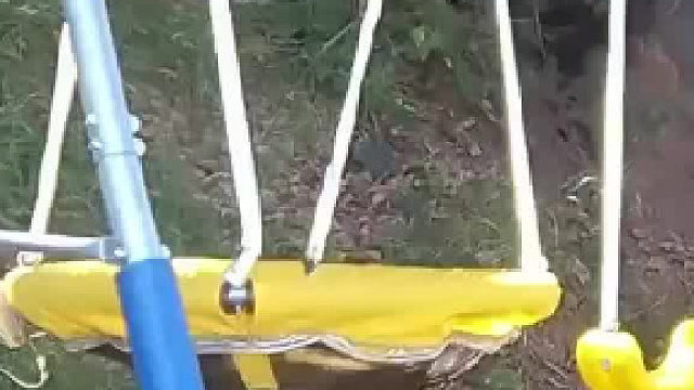 “我终于搞明白了这家伙每天在我院子里干嘛！”