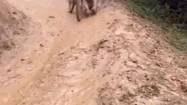 他们为什么不骑车啊