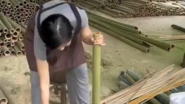 这是什么竹子啊，这一节这么长啊