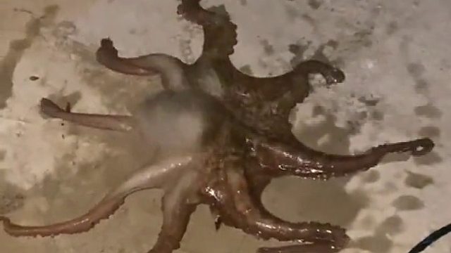 怪不得你老公每天晚上不敢回家