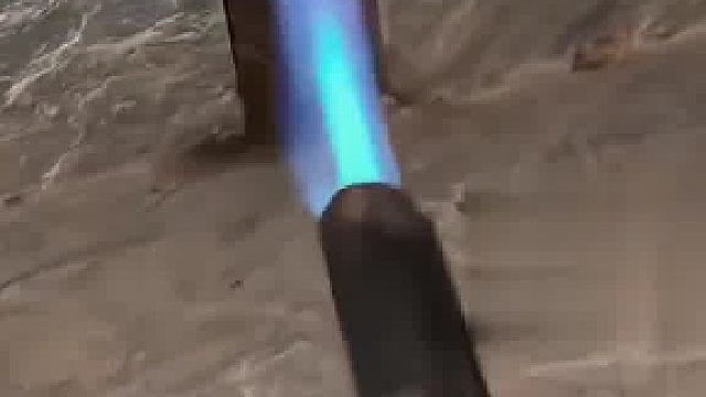 1只蟑螂1年可繁衍出1000万只蟑螂？