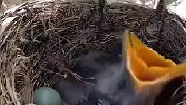 被全网发现的“偏心”妈妈