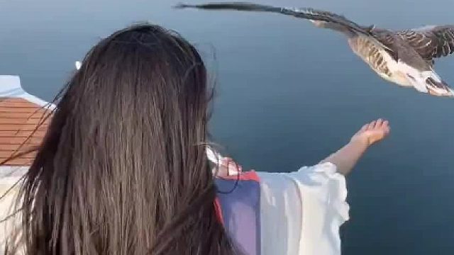 大雁：举报有人作弊